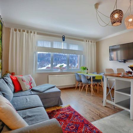 Apartament Zielona Mila Daire Ustrzyki Dolne Dış mekan fotoğraf